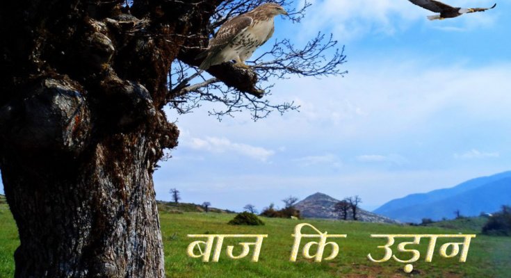 Baaj Ki Udan Moral Stories in Hindi